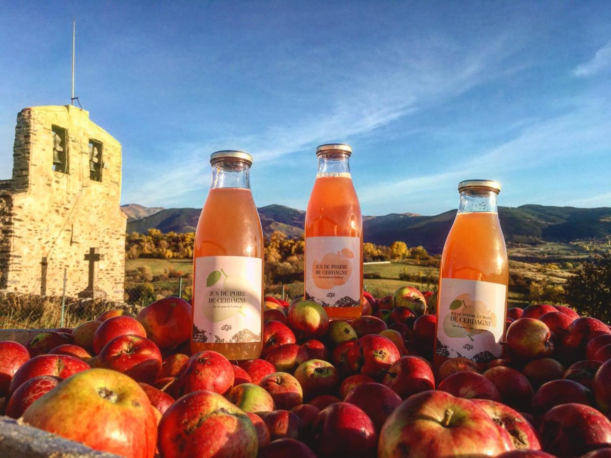 Domaine Agricole Cotze / Casa Rural Enveitg エクステリア 写真